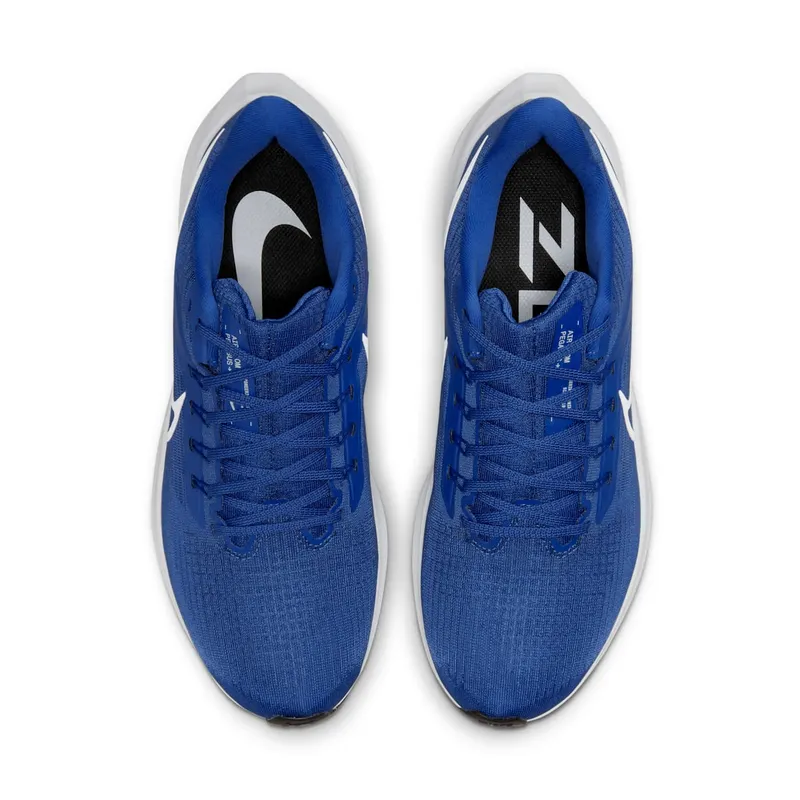 Nike Air Zoom Pegasus 39 TB Game Royal (DM0164-402)