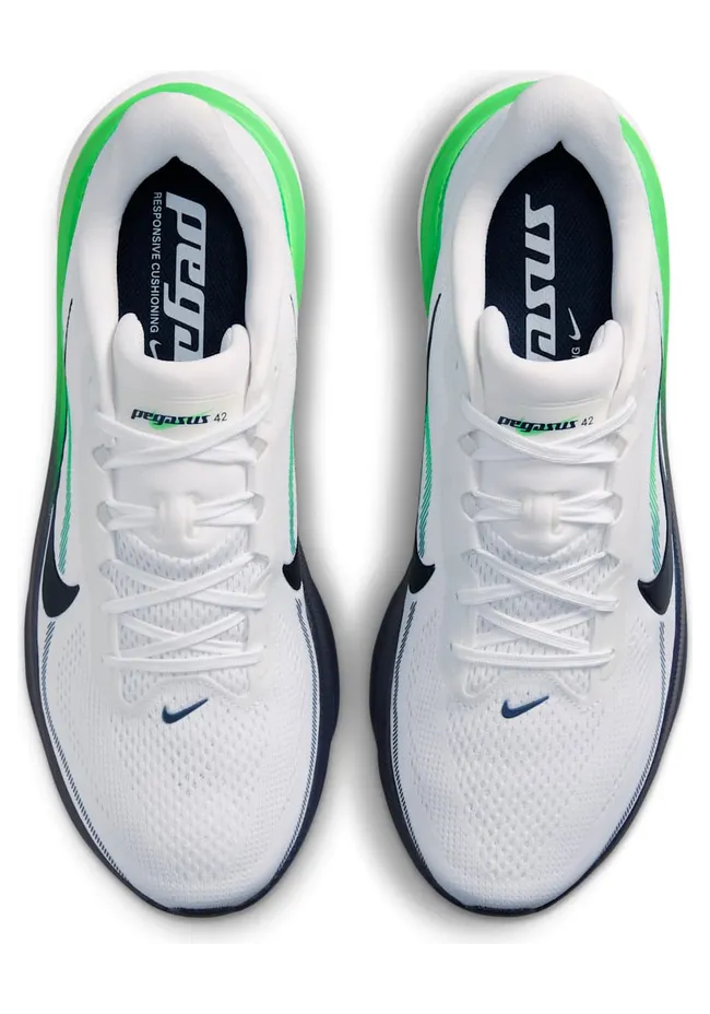nike-air-pegasus IB1873-107
