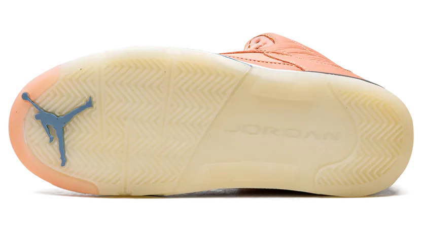 air-jordan-5 DV4980-641