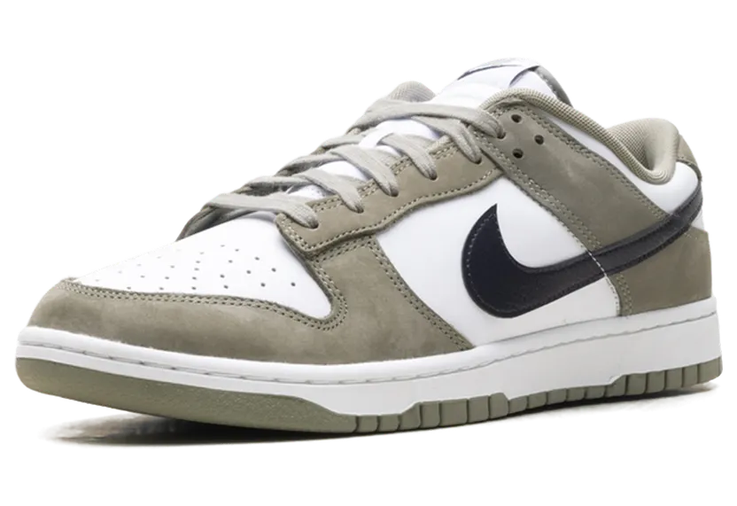 nike-dunk IB3079-300
