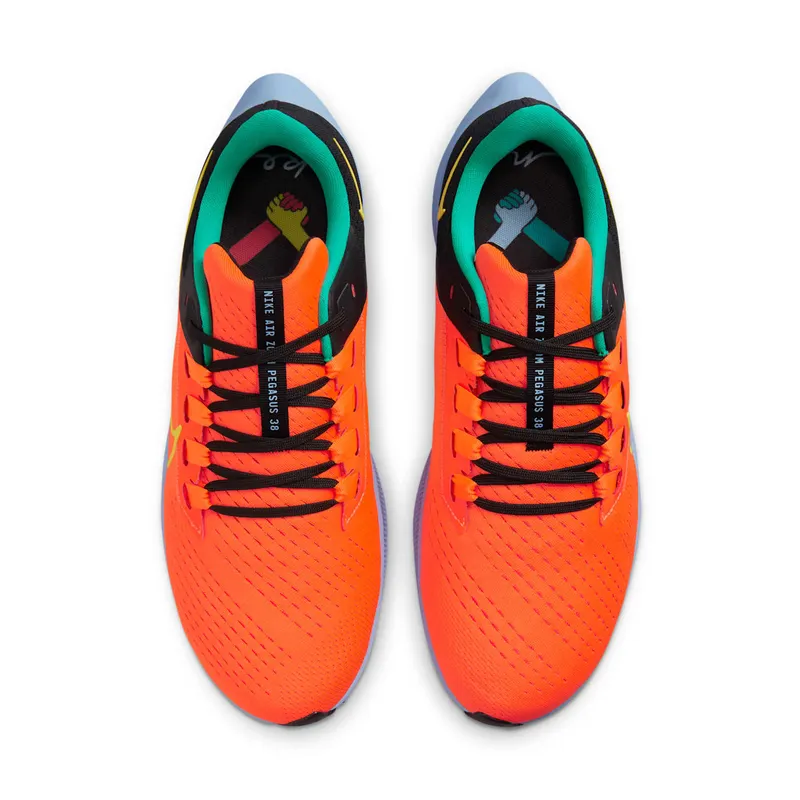 Nike Air Zoom Pegasus 38 Unity (DM9052-800)