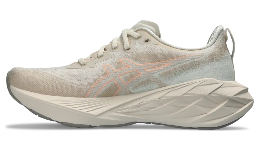 asics-novablast 1012B510.250