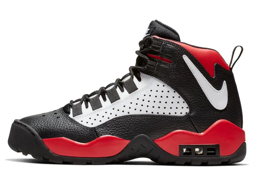 Nike Air Darwin Bulls