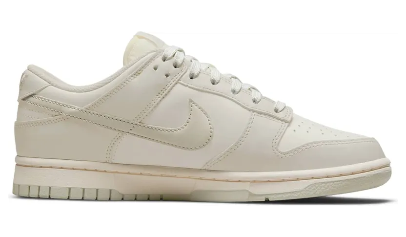 nike-dunk DD1503-107