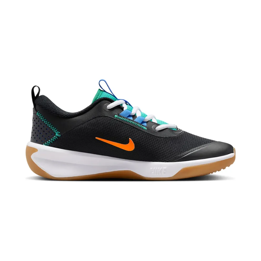 Nike Omni Multi-Court Black Blue Crystal Clear Emerald (DM9027-015)