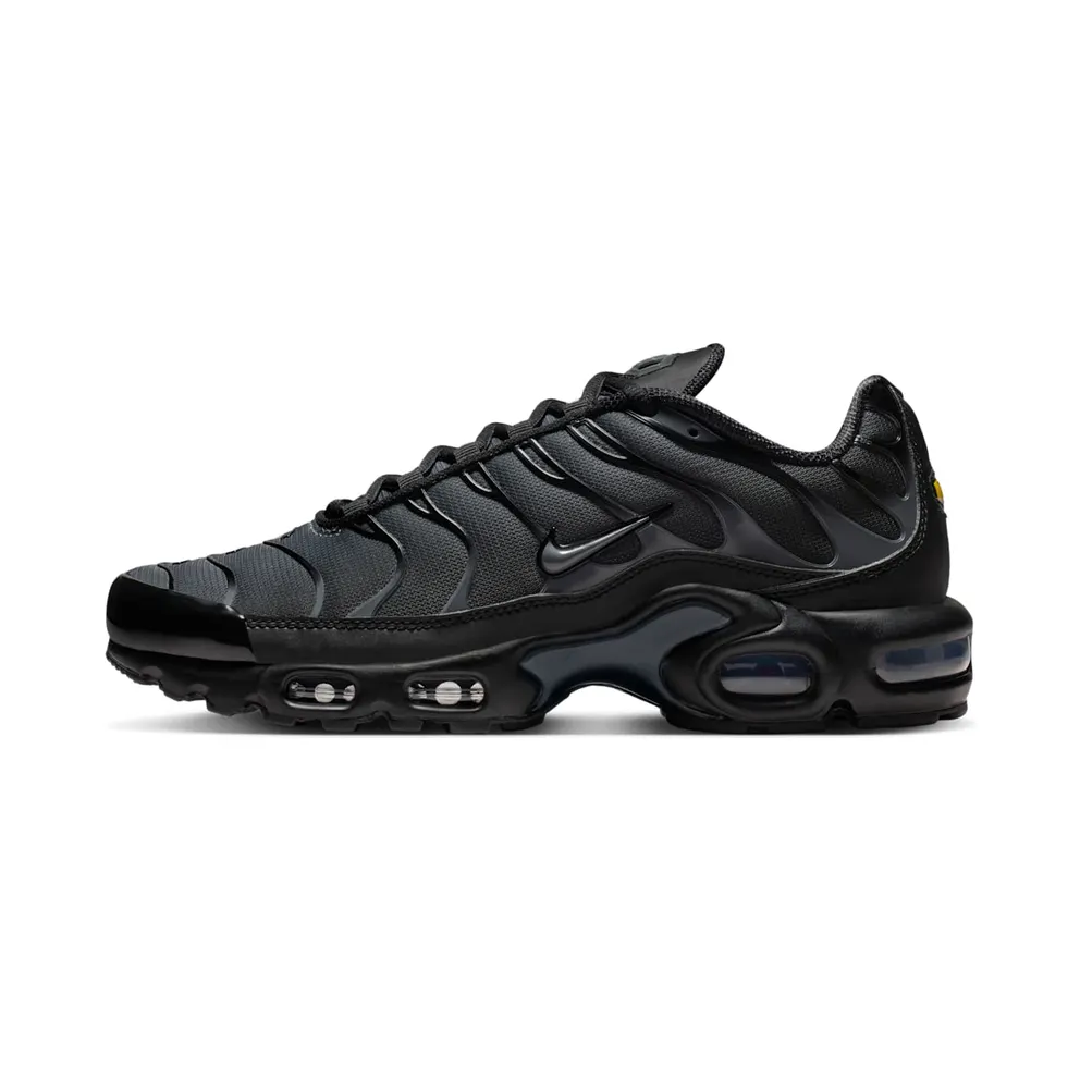 Nike TN Air Max Plus Black Metallic Silver Charm (IM6019-010)