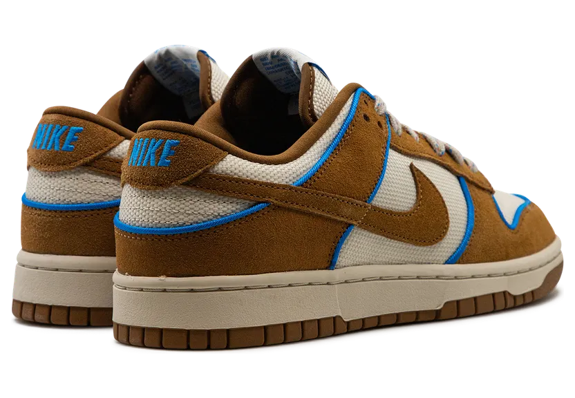 nike-dunk FN5825-100