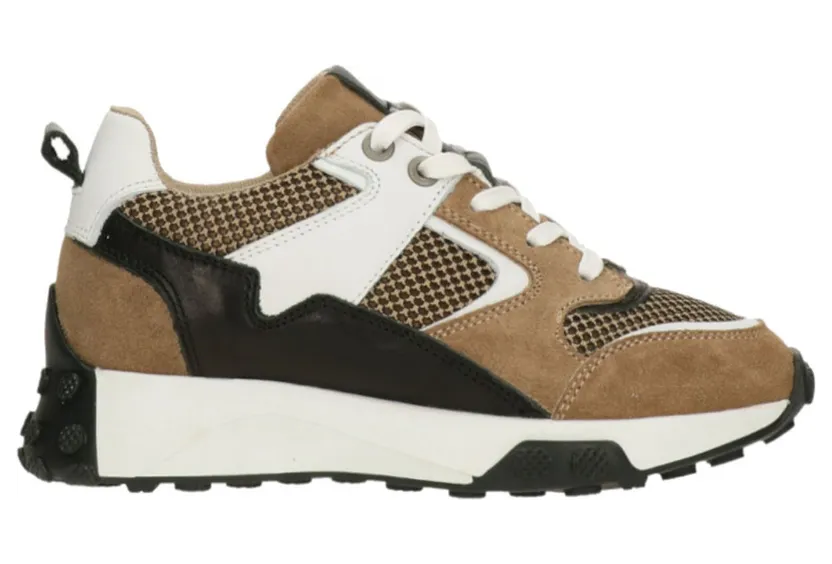 bullboxer sneaker Bruin (ATP001E5LABGWH)