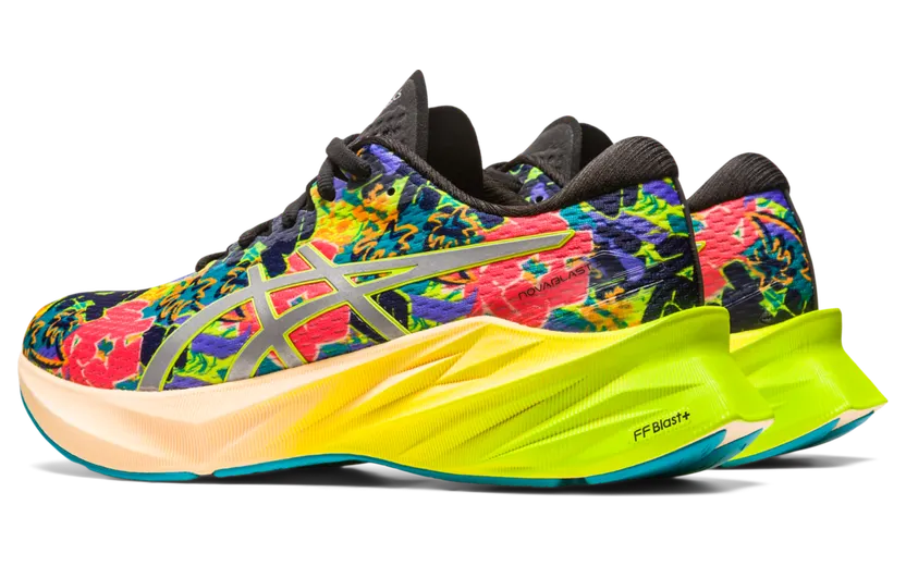 asics-novablast 1012B497.300