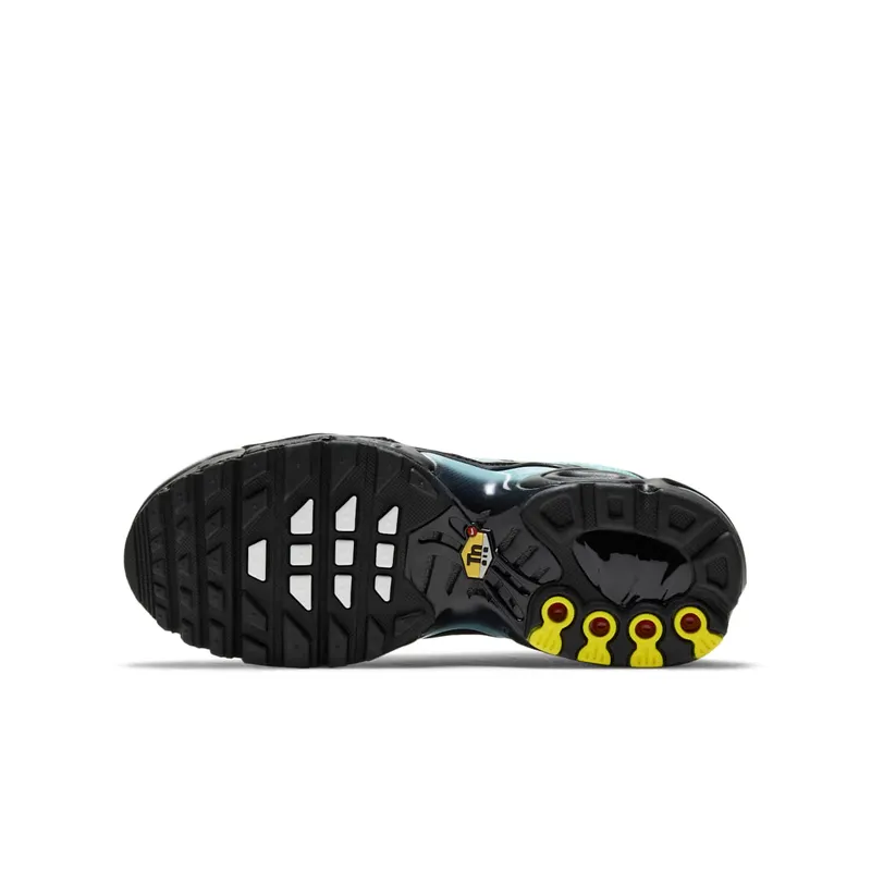 Nike Air Max Plus Older Kids’ Blue (CD0609-405)