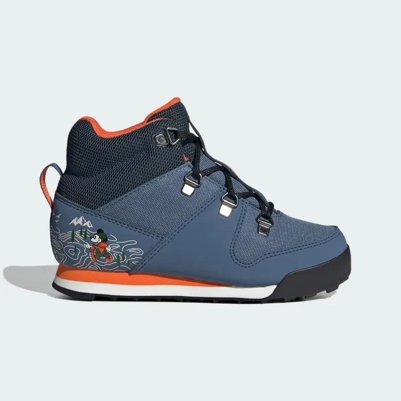 Adidas Terrex Disney Snowpitch COLD.RDY Winter Core Black / Grey Six / Grey Four (ID3558)