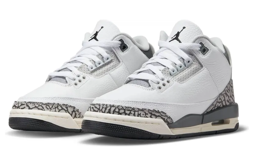 air-jordan-3 DX6665-100