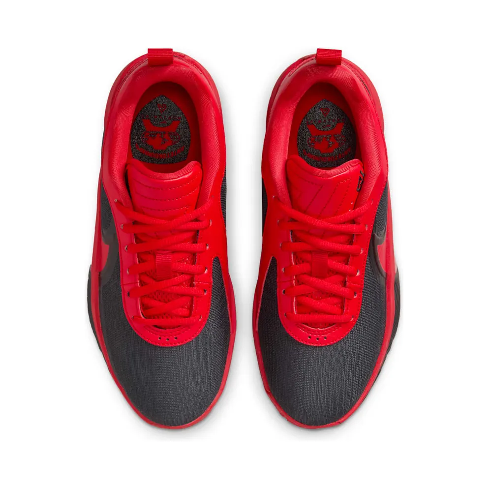 Nike Giannis Zoom Freak 6 Bred (FQ7378-004)