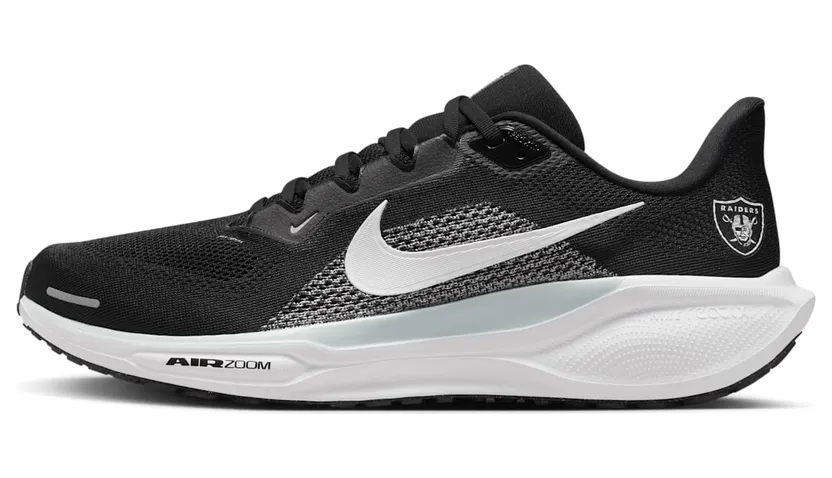 Nike Air Zoom IB3201-001
