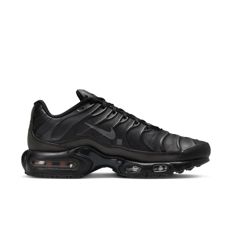 Nike Air Max Plus x A-COLD-WALL* Black/Light Iron Ore/Obsidian/Off-Noir (FD7855-001)