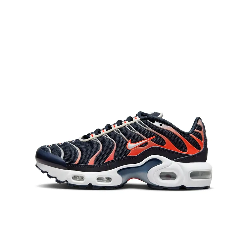 Nike Air Max Plus Dark Obsidian Bright Crimson (CD0609-408)