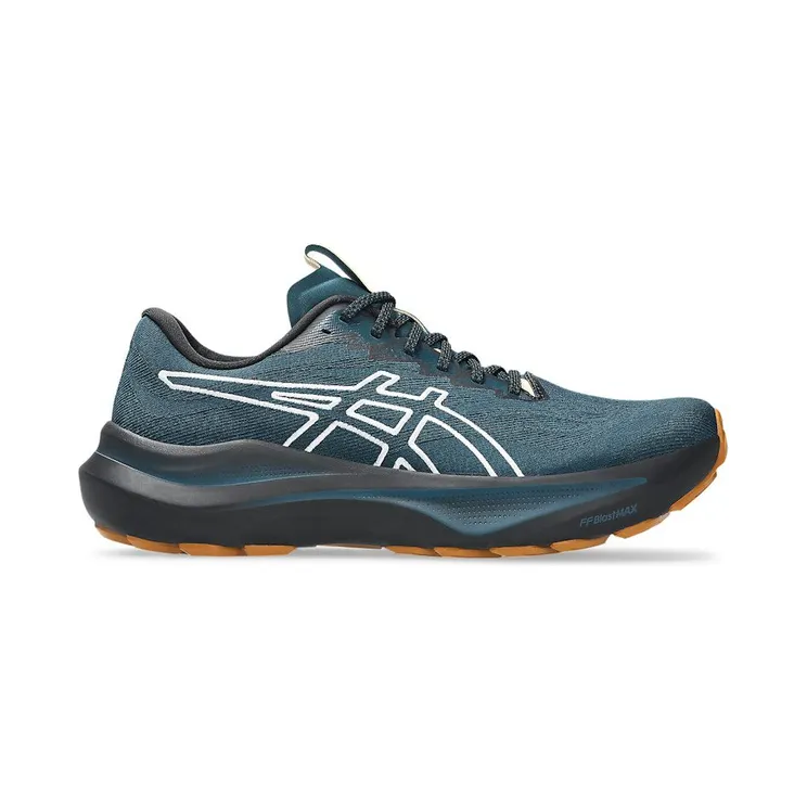 asics-gt-2000-2 1011C129-300