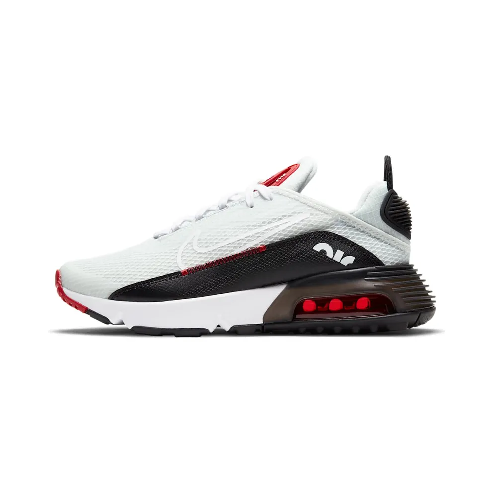 Nike Air Max 2090 Grau (DH4272-001)