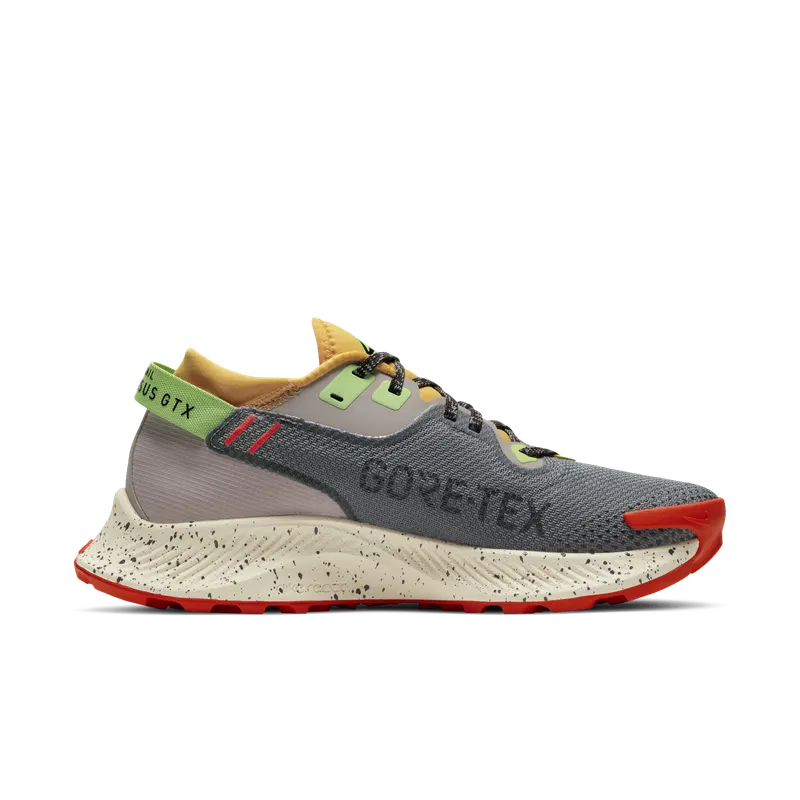 Nike Pegasus Trail 2 GORE-TEX Trail Running Black (CU2018-002)