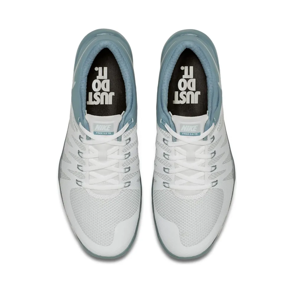 Nike Free Trainer 5.0 V6 White Dove Grey White/Dove Grey-Pure Platinum (719922-110)