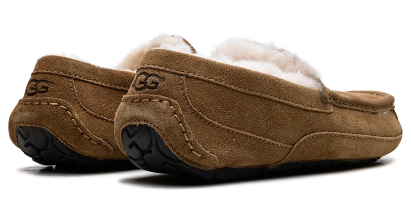 ugg-ascot 1101110-CHE