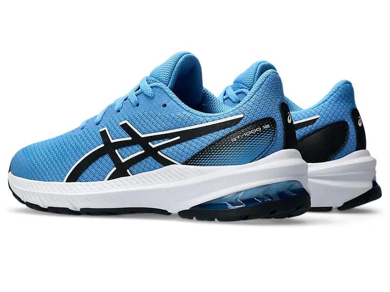 Asics Gt-1000 12 Gs Waterscape/Black (1014A296.404)
