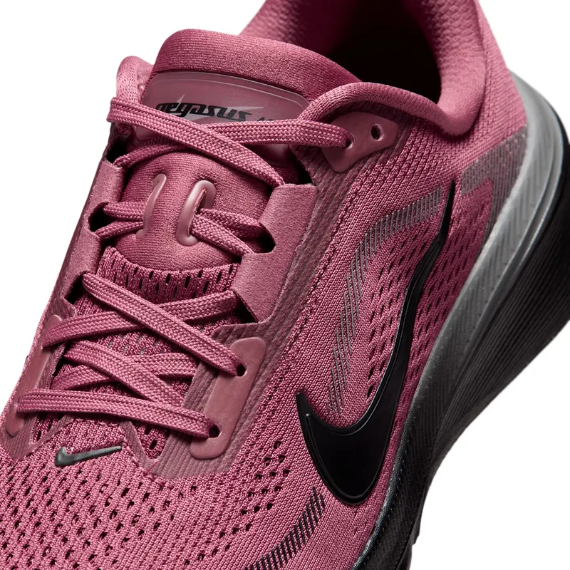 nike-air-pegasus IH2306-600