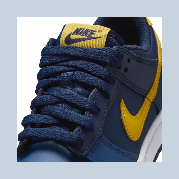 nike-dunk FB9109-403