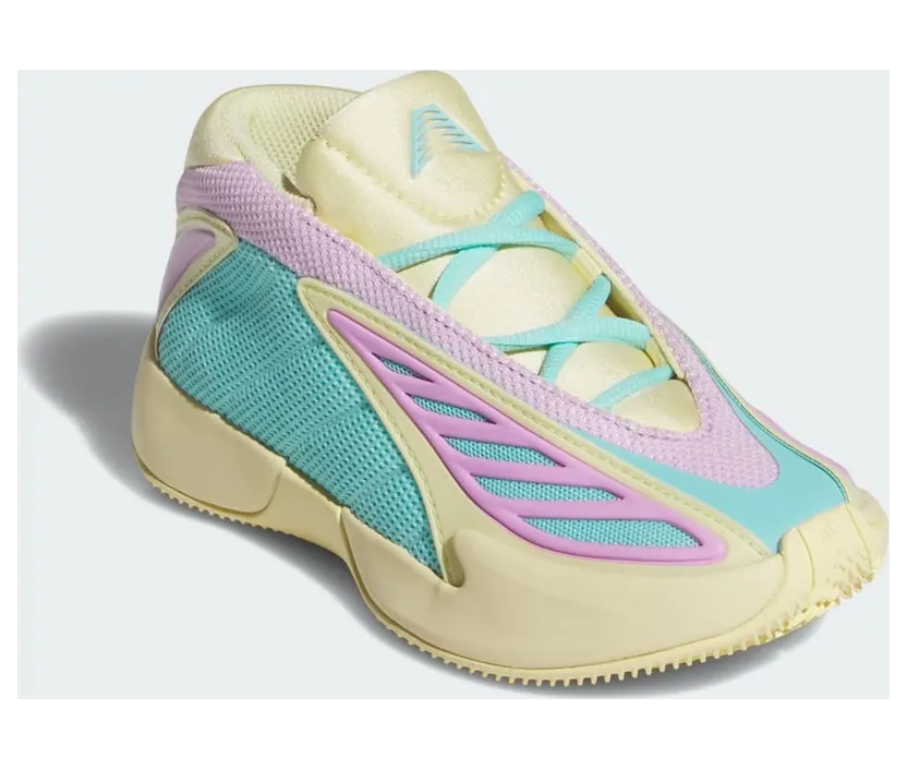 adidas-ae-2 JR2255