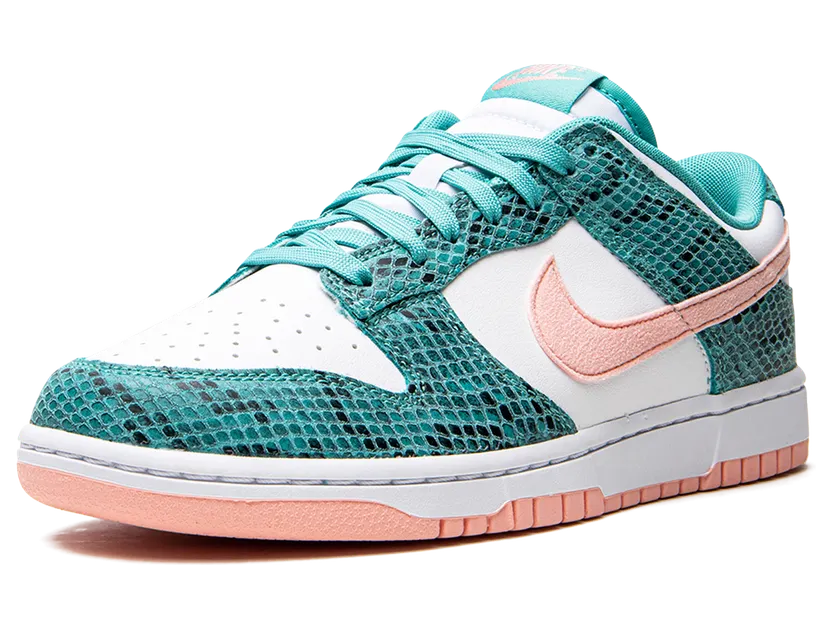 nike-dunk DR8577-300