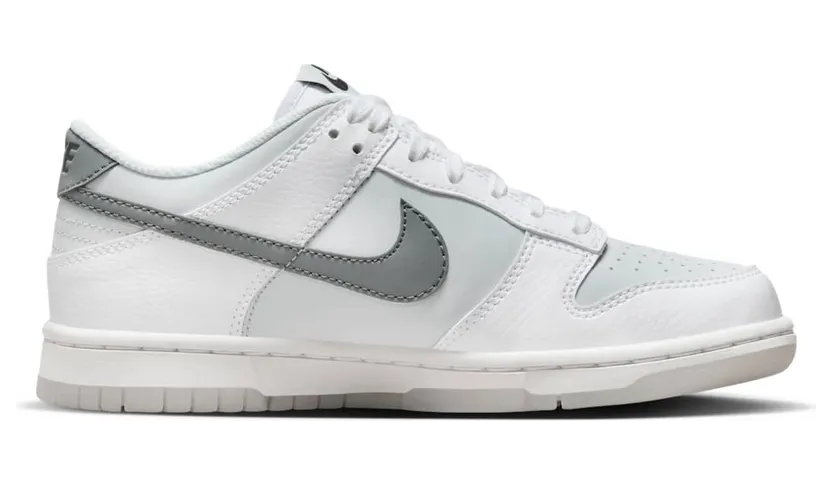 nike-dunk FV0365-100