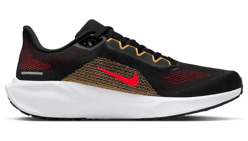 nike-air-pegasus FD2722-016