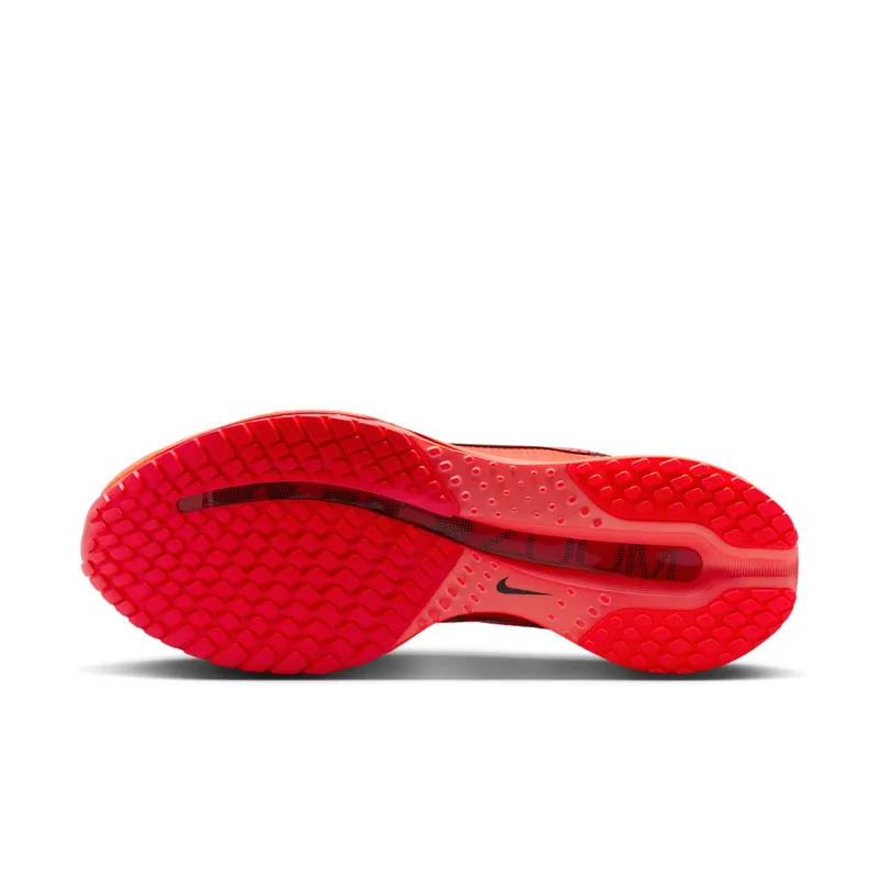 Nike Pegasus Premium “Light Crimson” (HQ2592-601)