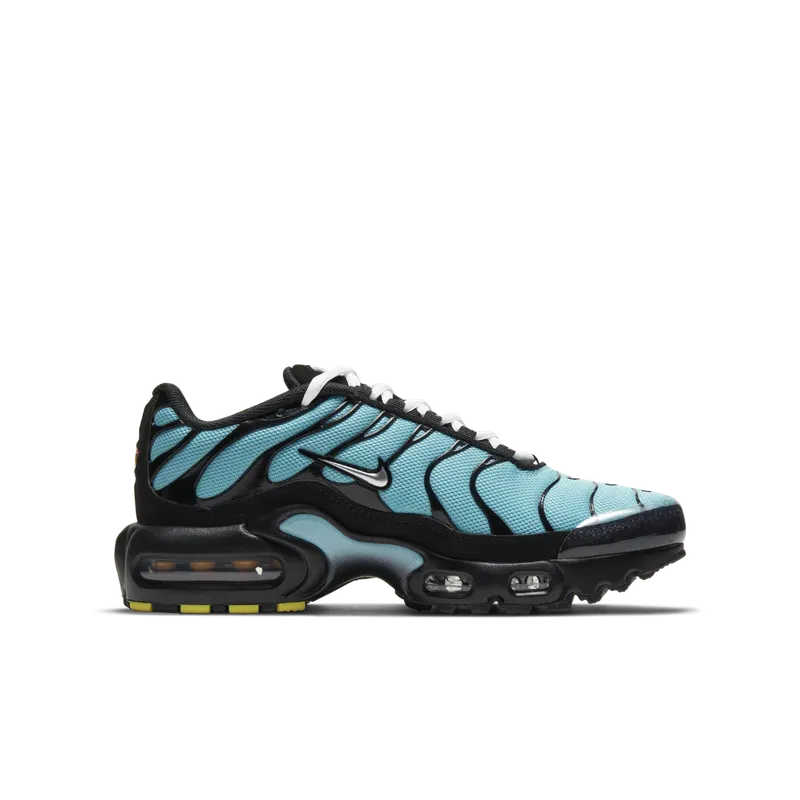 Nike Air Max Plus Older Kids’ Blue (CD0609-405)