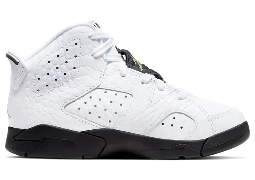 air-jordan-6 384666-110