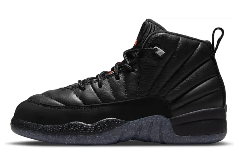 Air Jordan 12 DM5205-006