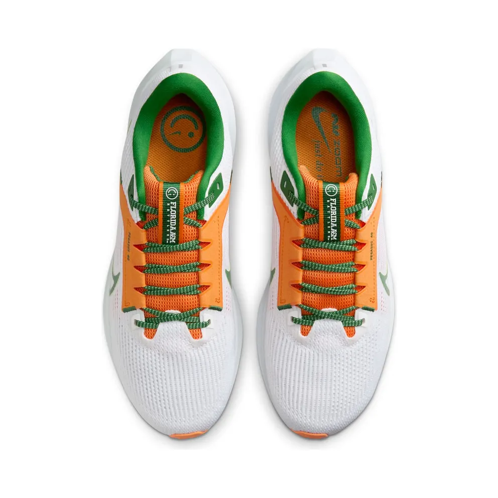 Nike Pegasus 40 FAMU (DZ5941-100)