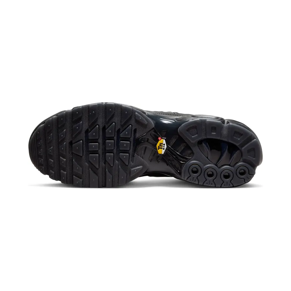 Nike Air Max Plus x A-COLD-WALL* Black/Light Iron Ore/Obsidian/Off-Noir (FD7855-001)