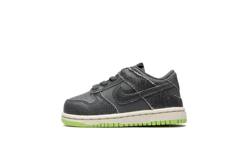 Nike Dunk Low SE Baby & Toddler Grey (DQ6217-001)