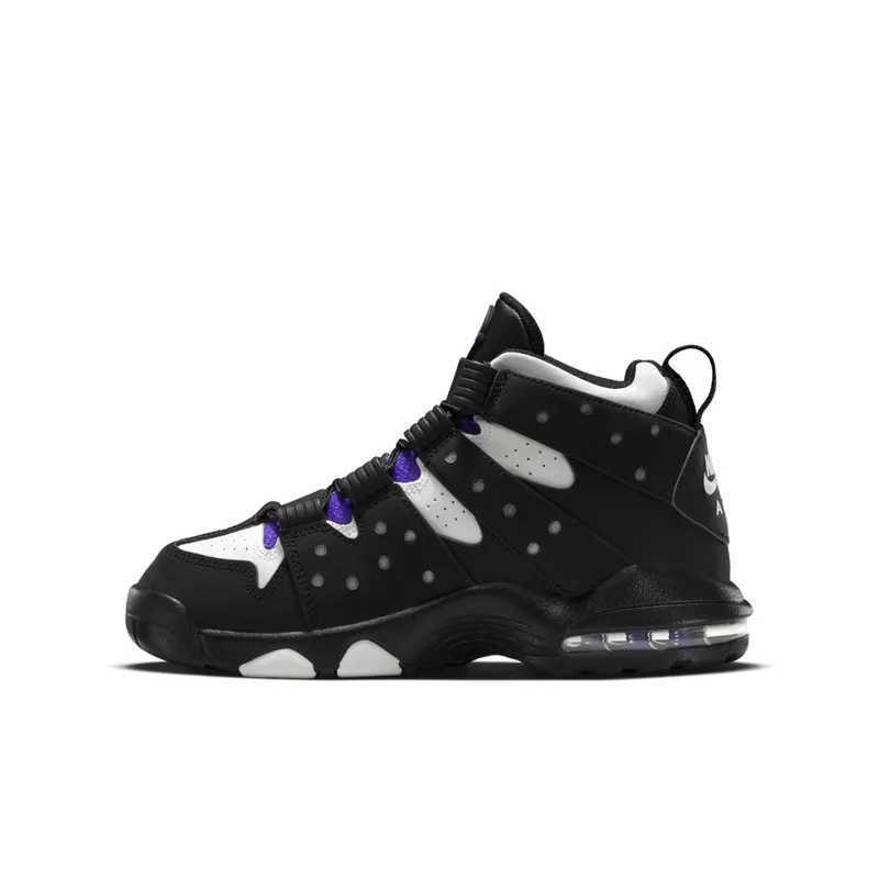 Nike  Air Max 2 CB 94 Black White Purple 2015 (GS) Black/White-Pure Purple (309560-007)
