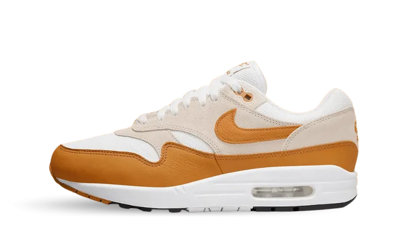 Nike Air Max 1 Bronze (DZ4549-110)