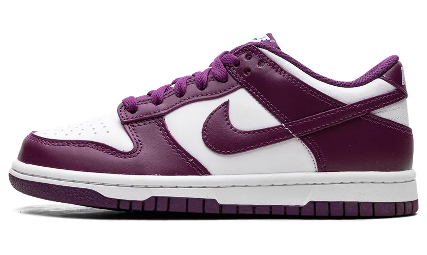 Nike Dunk Low GS “Viotech” (FB9109-110)