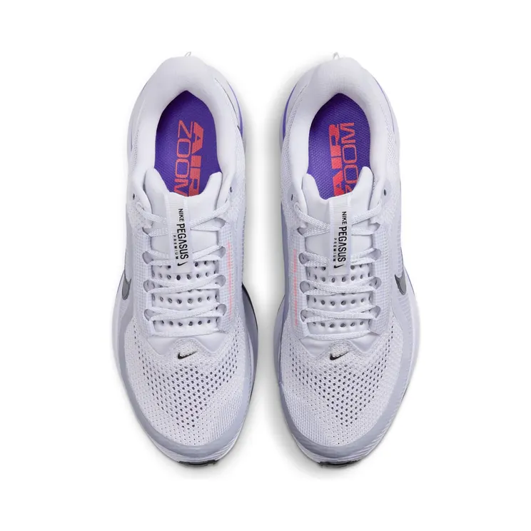 nike-air-pegasus HQ2592-004