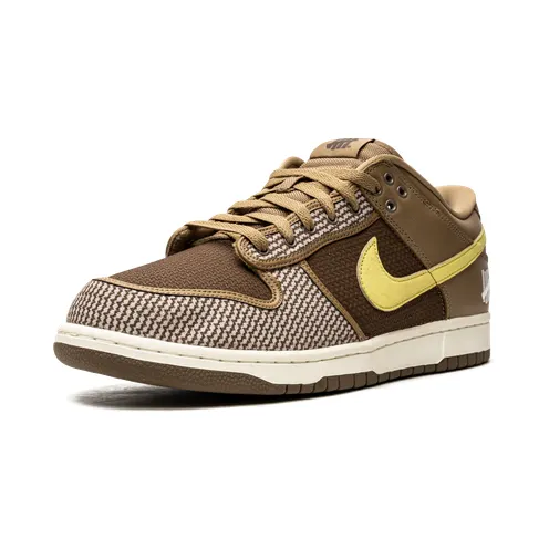 nike-dunk DH3061-200