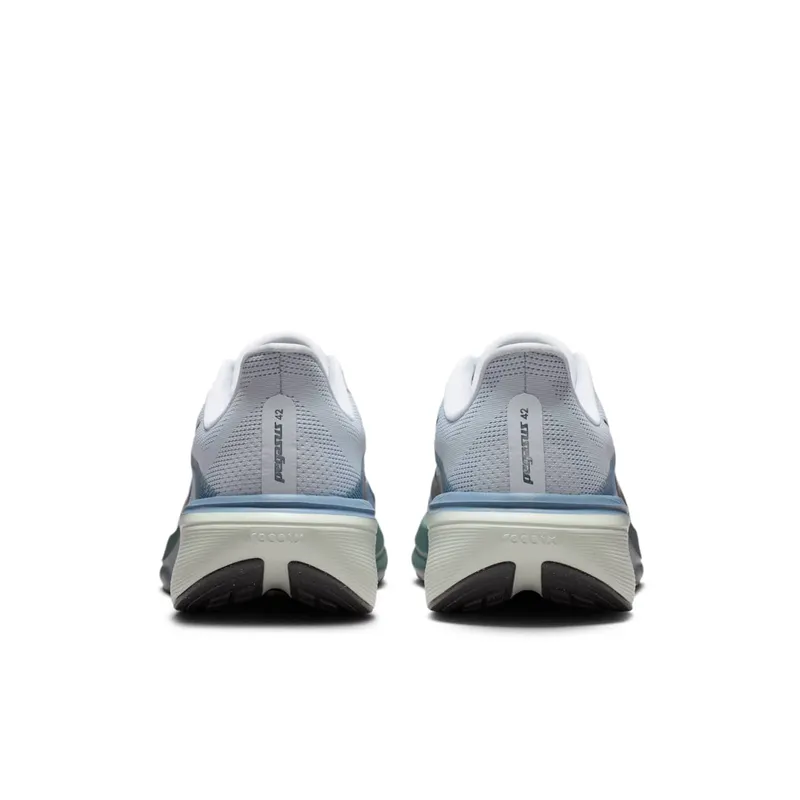 Nike Pegasus Pure Platinum/Work Blue/Mineral Slate/Dark Obsidian (IB1873-005)