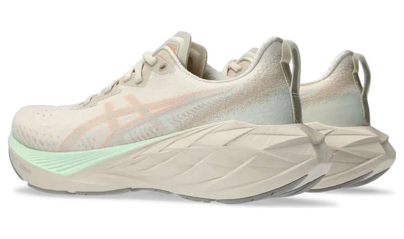 asics-novablast 1012B510.250