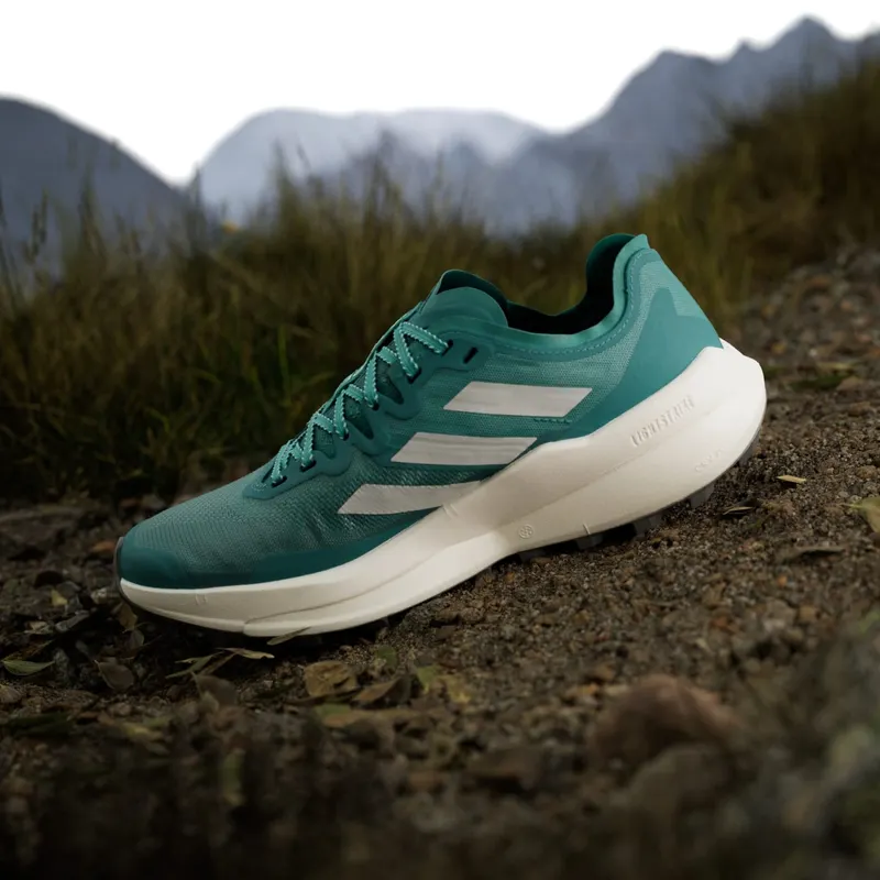 adidas Terrex Agravic Speed Trail Pure Teal Grey One Semi Flash Aqua (JR5246)