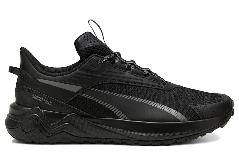 puma-sneaker 379538-01