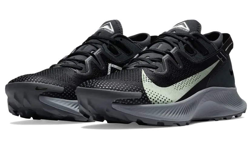 nike-air-pegasus CK4305-002