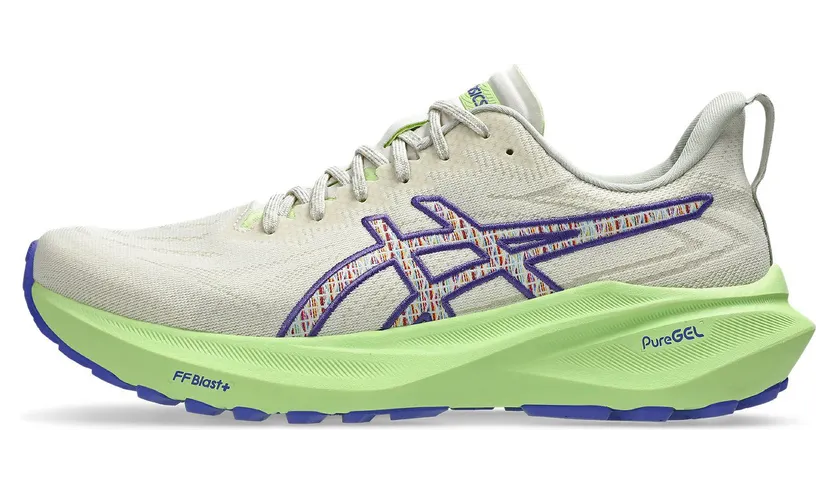 asics-gt-2000-2 1011C042-300